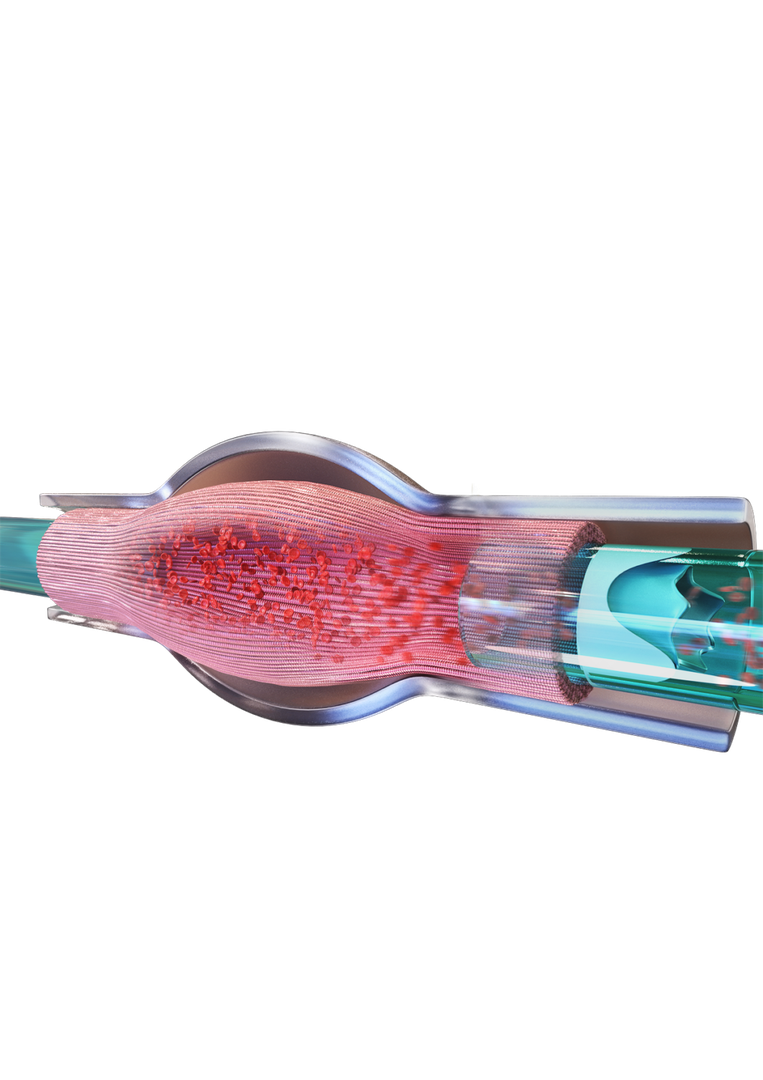 Unique 3D heart model expedites the development of medication
