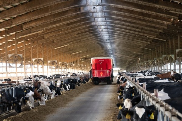 Specialist in voertechniek voor melk- en vleesveehouderij